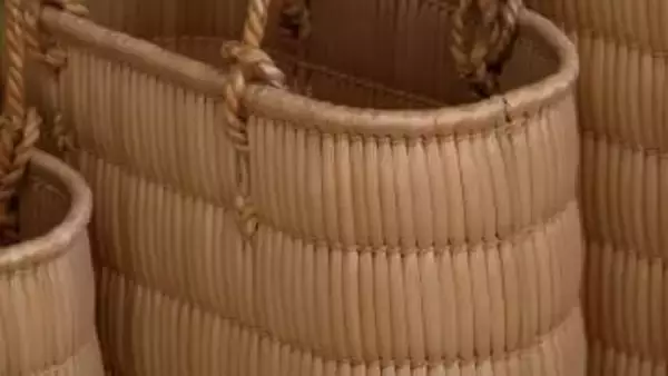 「600年の伝統」蒜山ガマ細工づくりが最盛期 　人気商品の「手さげかご」は製作に5日から一週間かかる【岡山】