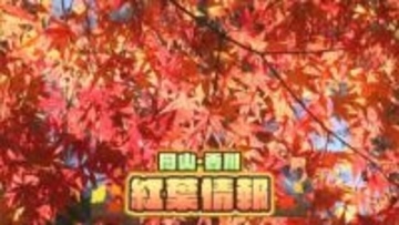 「今年の紅葉は遅い？」閑谷学校は？寒霞渓は？絶景スポット攻略ガイドで週末のおでかけ計画を【岡山・香川】