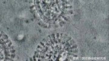 【インフルエンザ2025】今年の特徴は？いつ収束する？100以上の施設で学年・学級閉鎖【岡山・香川】