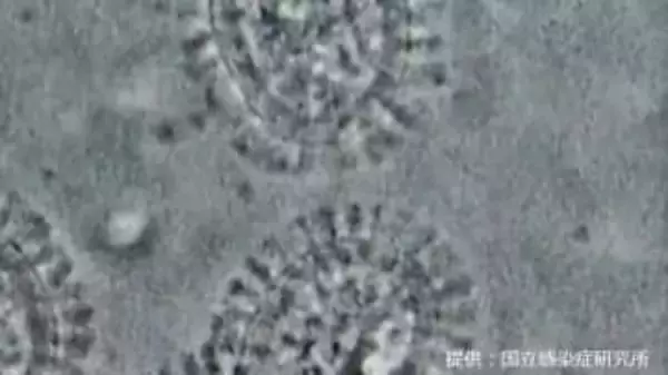 【インフルエンザ2025】今年の特徴は？いつ収束する？100以上の施設で学年・学級閉鎖【岡山・香川】