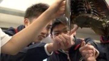 生きた化石「カブトガニ」が香川県で漁師の網に　さっそく高校で教材に特別授業　今後は水族館で飼育展示へ【香川】