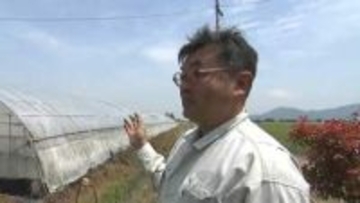 「1年間の全てが無駄になってしまう」　中東情勢の混乱は農業にも深刻な影響を　資材が高騰し入荷も不安定に【岡山】