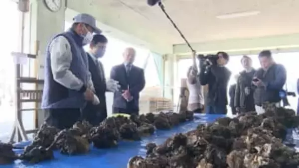 養殖カキ大量死　水産庁長官らが瀬戸内市邑久町の漁業協同組合などを現地調査　「2年・3年もの」の9割が死滅【岡山】