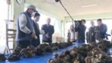 養殖カキ大量死　水産庁長官らが瀬戸内市邑久町の漁業協同組合などを現地調査　「2年・3年もの」の9割が死滅【岡山】