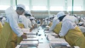 【おかやまマラソン2026】運営支えるボランティアの概要発表　団体4,000人　個人500人【岡山】