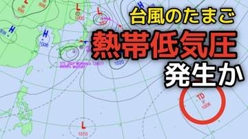 【台風のたまご】新たな「熱帯低気圧」が27日（土）日本のはるか南の海上に発生か...日本への影響は？7月6日（月）まで今後の雨・風の予想をシミュレーションで確認【気象庁 最新天気図】