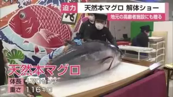 100キロ超の天然本マグロ解体ショー大にぎわい！4キロを高齢者施設に贈る【佐賀県川副町】