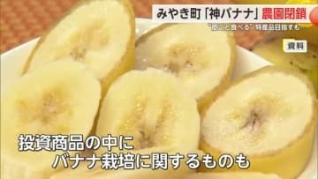 みやき町「神バナナ」の農園8月に廃止 「みんなで大家さん」投資商品にも【佐賀県】