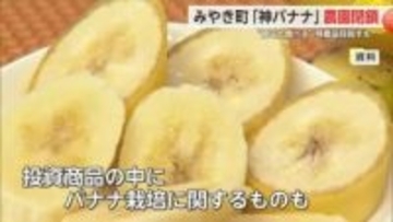みやき町「神バナナ」の農園8月に廃止 「みんなで大家さん」投資商品にも【佐賀県】