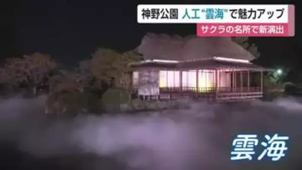 「「夢の世界でした」桜の名所 神野公園に人工雲海が出現 県内初の幻想的な夜間演出スタート【佐賀県】」の画像
