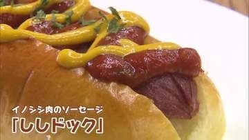 イノシシ肉で作った「ししドック」高校生が開発　臭み抑えた味に驚き【佐賀県】