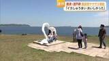 「連休最終日　唐津では海産物に舌鼓を打つ人や海の生き物楽しむ人の姿も【佐賀県】」の画像1
