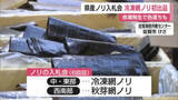 「「赤潮発生で4分の1が色落ち」 有明海の養殖ノリ入札会 約1億2600万枚出品【佐賀県】」の画像1