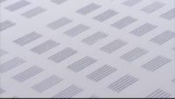 「雨が降らないのが一番の原因」有明海の養殖ノリ4分の1が色落ち 晴れ続きで植物プランクトン活発化 赤潮も発生