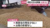 「佐賀県産大豆 収穫量9800トンで全国3位 過去10年で最多の豊作に【佐賀県】」の画像1