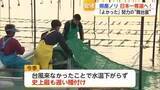 「「この4年間、辛かった…」佐賀ノリが日本一奪還確実　生産者の努力の“舞台裏”【佐賀県】」の画像1