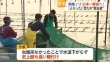 「この4年間、辛かった…」佐賀ノリが日本一奪還確実　生産者の努力の“舞台裏”【佐賀県】