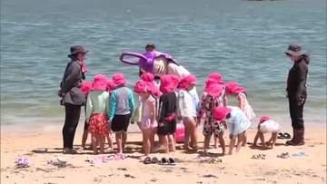 唐津の海へナマコ2000匹放流　園児が海の環境を守る大切さを学ぶ【佐賀県】