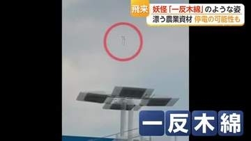 「一反木綿っぽい」佐賀の空を漂う謎の物体の正体【佐賀県】