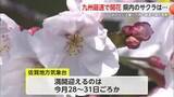 「九州最速 県内でサクラ咲き始める  満開は3月28日から31日頃予想【佐賀県】」の画像1