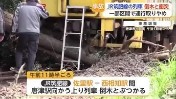 列車が倒木と衝突 JR筑肥線の一部区間で終日運行取りやめ けが人なし【佐賀県】