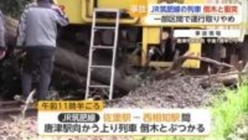列車が倒木と衝突 JR筑肥線の一部区間で終日運行取りやめ けが人なし【佐賀県】