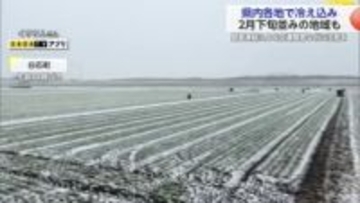 県内各地で厳しい冷え込み　2月下旬並みの寒さとなった地域も【佐賀県】