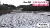 「田んぼが雪化粧…唐津市などで積雪　大雪のおそれはなくなる【佐賀県】」の画像1