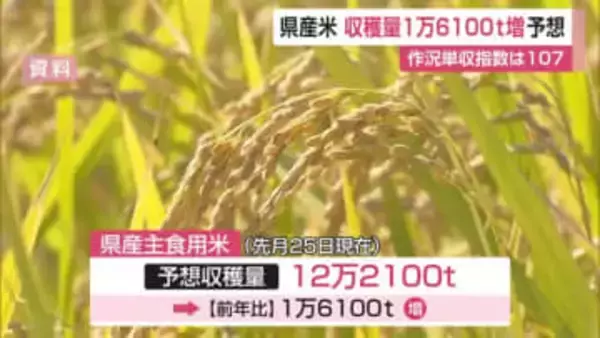 今年の県産米 前の年に比べ1万6100トン増加予想 【佐賀県】