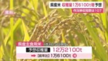 今年の県産米 前の年に比べ1万6100トン増加予想 【佐賀県】