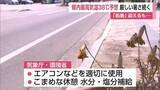 「「処暑」なのに39℃予想…秋はどこへ？　酷暑日一歩手前の暑さ続く【佐賀県】」の画像1