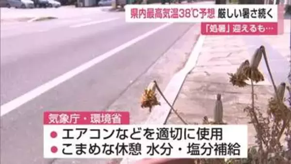 「処暑」なのに39℃予想…秋はどこへ？　酷暑日一歩手前の暑さ続く【佐賀県】