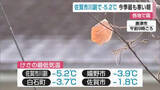 「佐賀市川副で－5.2℃ 今季最低気温を観測 週末連休は雪降るところも【佐賀県】」の画像1