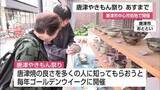 「「たくさん宝物が埋まっている場所」唐津やきもん祭り　5月5日まで【佐賀県】」の画像1