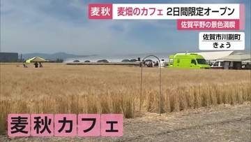 麦畑の中にカフェ 収穫前の2日間限定オープン 佐賀平野の麦秋満喫 地元産の野菜販売も【佐賀県】