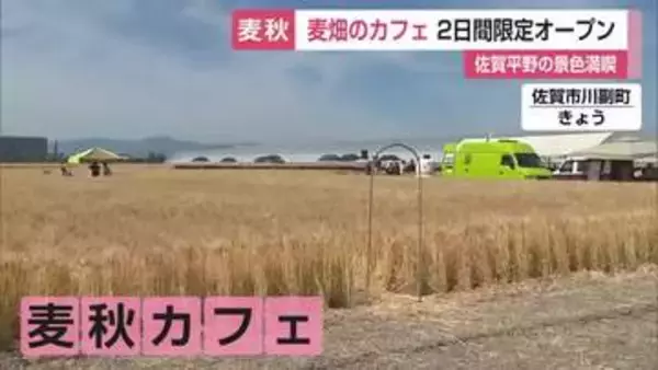 麦畑の中にカフェ 収穫前の2日間限定オープン 佐賀平野の麦秋満喫 地元産の野菜販売も【佐賀県】