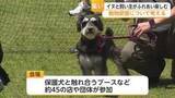 「保護犬とふれあい ペット同伴避難所の案内 ドッグフード…動物愛護 わんこの集いに45ブース【佐賀県】」の画像1