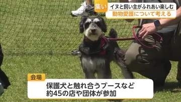 保護犬とふれあい ペット同伴避難所の案内 ドッグフード…動物愛護 わんこの集いに45ブース【佐賀県】