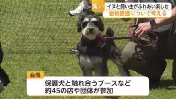 保護犬とふれあい ペット同伴避難所の案内 ドッグフード…動物愛護 わんこの集いに45ブース【佐賀県】