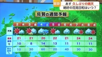 桜散る前に急いで！満開の桜を楽しむなら2日・3日がおすすめ【佐賀県】