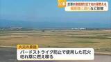 「佐賀空港で火事 原因は鳥よけの「花火」…羽田発の便が福岡空港へ【佐賀県】」の画像1