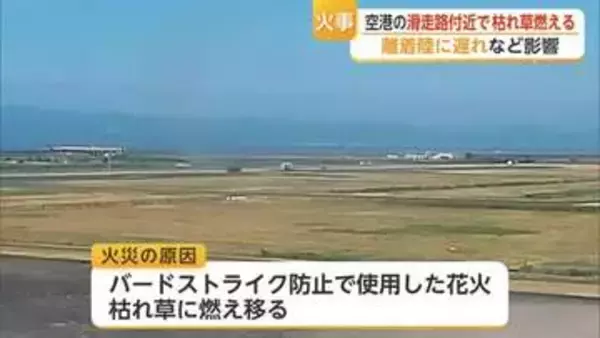 佐賀空港で火事 原因は鳥よけの「花火」…羽田発の便が福岡空港へ【佐賀県】