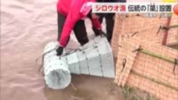 春の訪れ告げるシロウオ漁　伝統の「簗」設置　唐津市・玉島川【佐賀県】