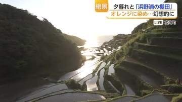 「オレンジ色に輝く」玄海町・浜野浦の棚田に沈む夕陽の絶景【佐賀県】