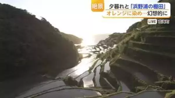 「オレンジ色に輝く」玄海町・浜野浦の棚田に沈む夕陽の絶景【佐賀県】