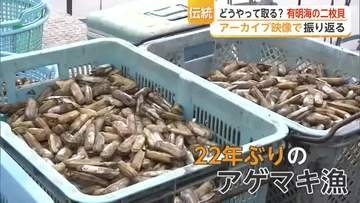有明海の名物「アゲマキ・タイラギ」が消えた　休漁続く二枚貝の今【佐賀県】