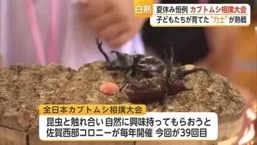 自慢のカブトムシで熱戦展開　毎年恒例「全日本カブトムシ相撲大会」今年も太良町で開催【佐賀県】