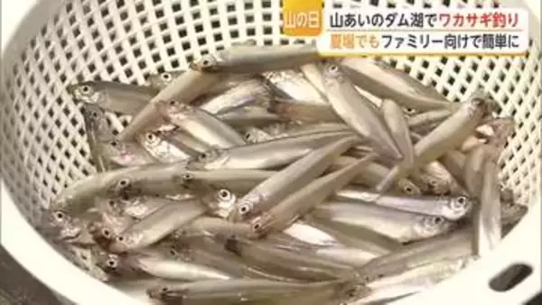 山の日に北山湖でワカサギ釣りに挑戦！釣り初心者の吉冨アナの釣果は？【佐賀県】