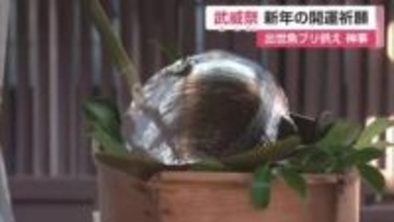 ブリ供え開運祈願「武威祭」鍋島家ゆかり大みそか神事 佐嘉神社【佐賀県】