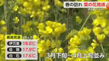 「神埼市で菜の花が見頃！県内最高気温 伊万里で18℃【佐賀県】」の画像1